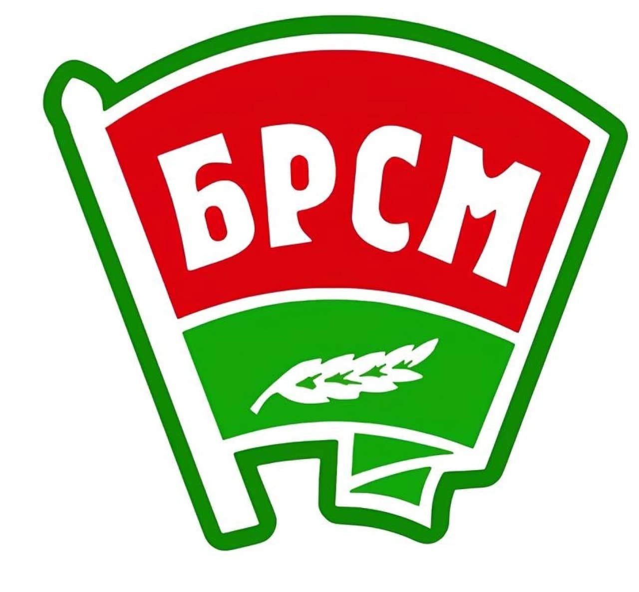 БРСМ (1).jpg БРСМ (1).jpg